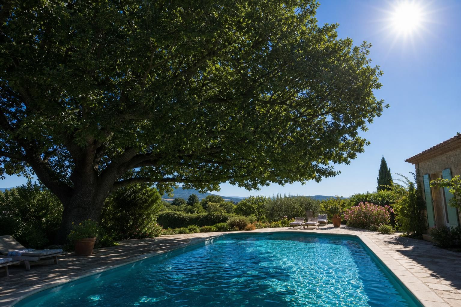 découvrez comment l'ombre de l'arbre de mon voisin a métamorphosé mes journées d'été à la piscine, avec une révélation surprenante après avoir mesuré la distance exacte.