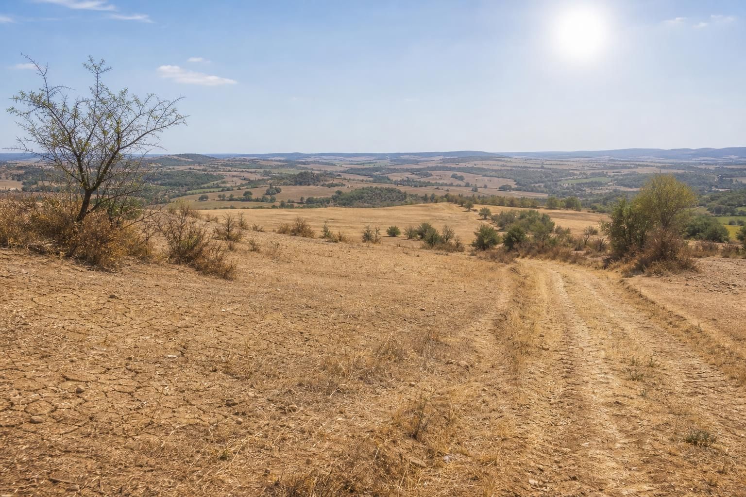découvrez comment la forte chaleur et l'absence de pluie ont poussé une zone de la meuse en alerte, avec des conséquences sur l'environnement et la sécurité locale.