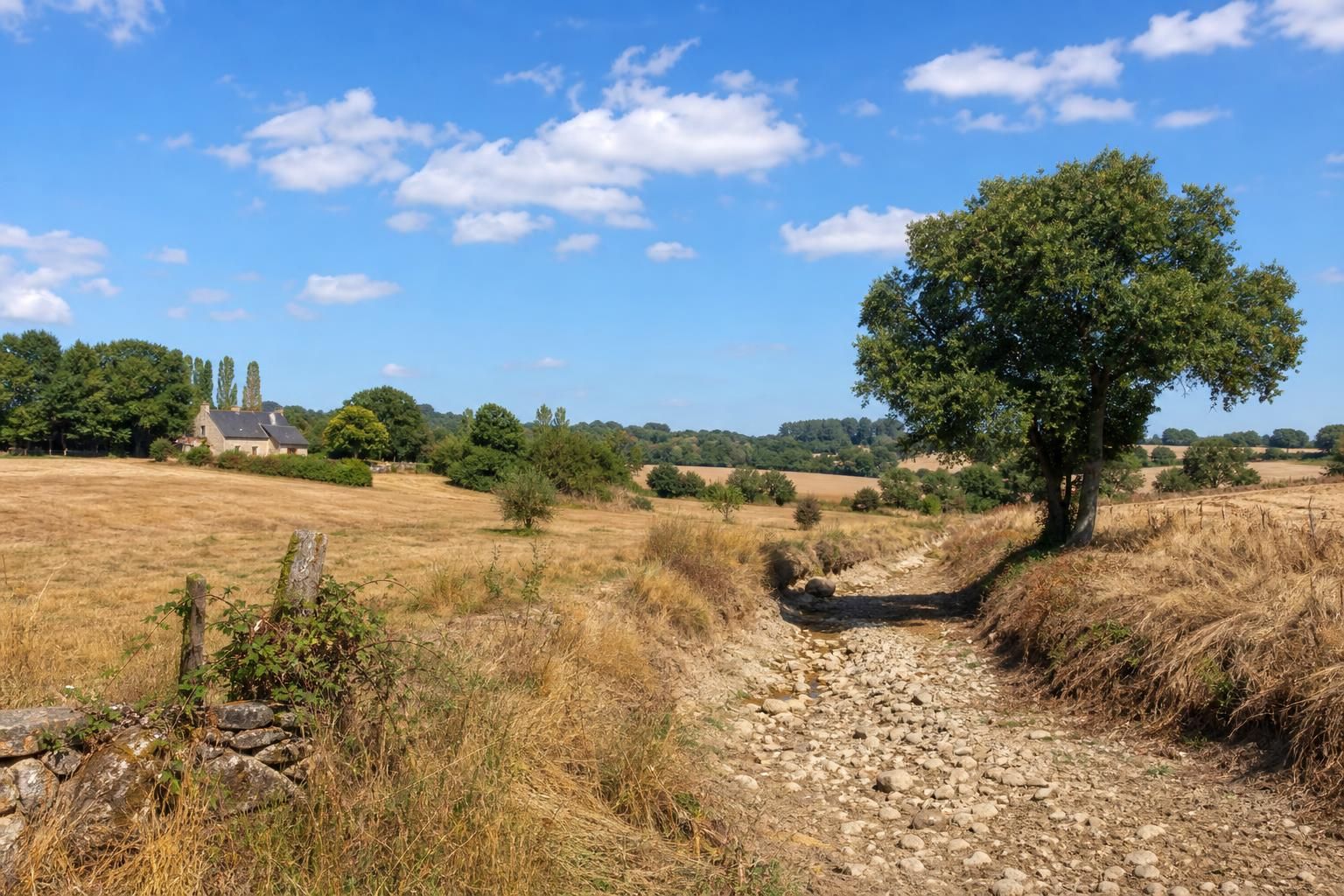 découvrez la carte des communes du morbihan affectées par le durcissement des restrictions liées à la sécheresse, et restez informé des mesures en vigueur pour préserver l'eau.